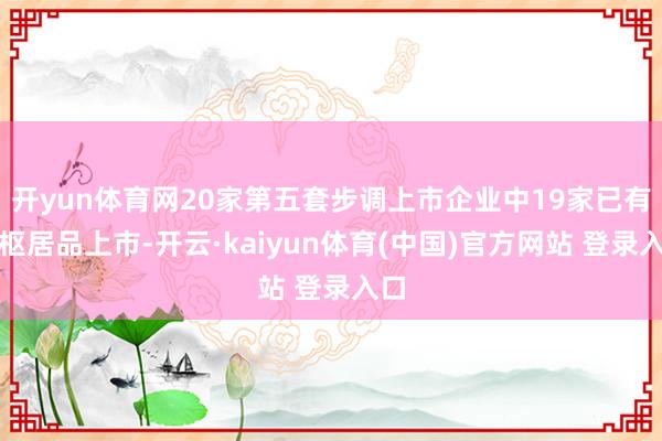 开yun体育网20家第五套步调上市企业中19家已有中枢居品上市-开云·kaiyun体育(中国)官方网站 登录入口
