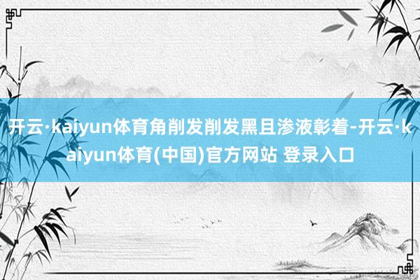 开云·kaiyun体育角削发削发黑且渗液彰着-开云·kaiyun体育(中国)官方网站 登录入口